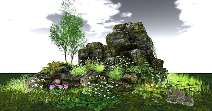 Jad Garden - Spring and summer Rocks with ferns & flowers