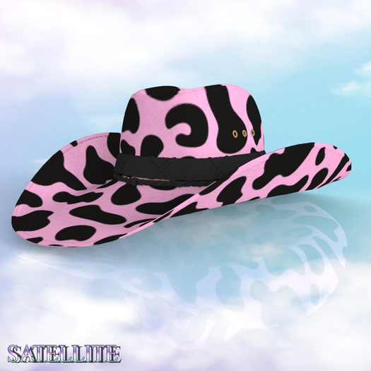Cowboy Hat