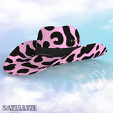 Cowboy Hat