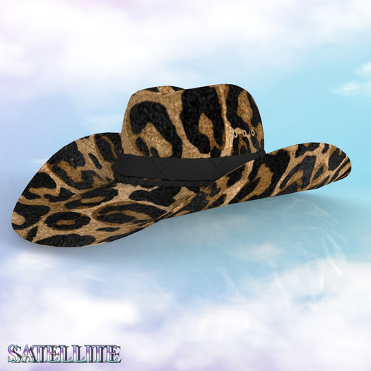 Cowboy Hat