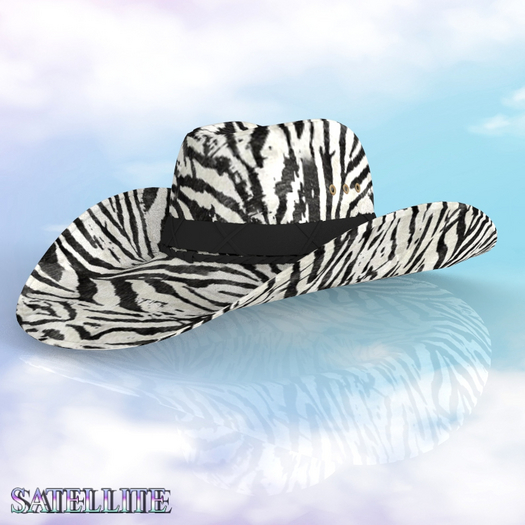 Cowboy Hat