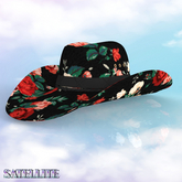Cowboy Hat