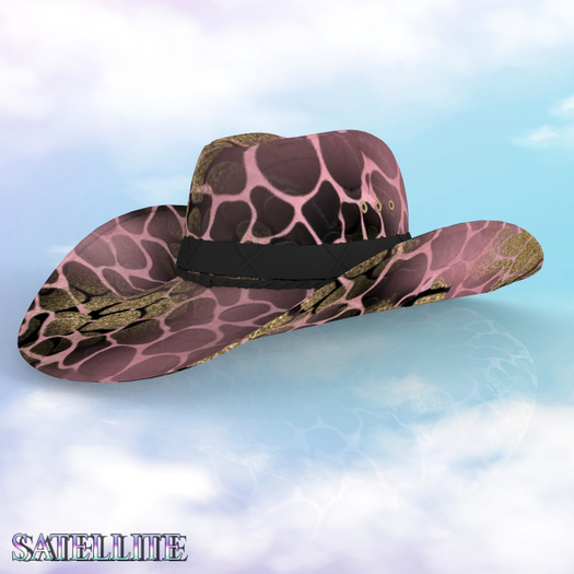 Cowboy Hat