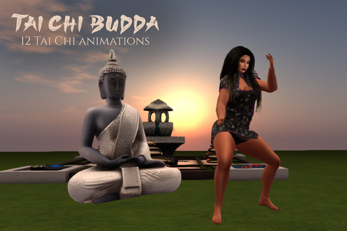 Studio Craft * Tai Chi Budda