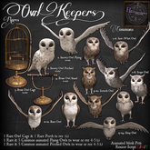 13. *HEXtraordinary* Gray Owl Perched