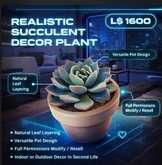 Realistic Succulent Decor Plant with Pot – High-Quality Decorative Plant | Full Permissions
