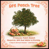 DFS Peach Tree - ACTUAL ITEM