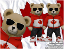Teddy bear Canada