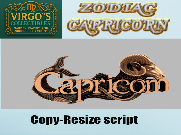 Capricorn 2026  Boxed