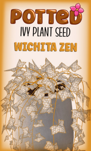 Potted: Ivy Seed: Wichita Zen