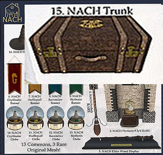 15. Trunk - NACH