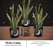 Moss & Luna- Auriel Snake Plant Set (add)