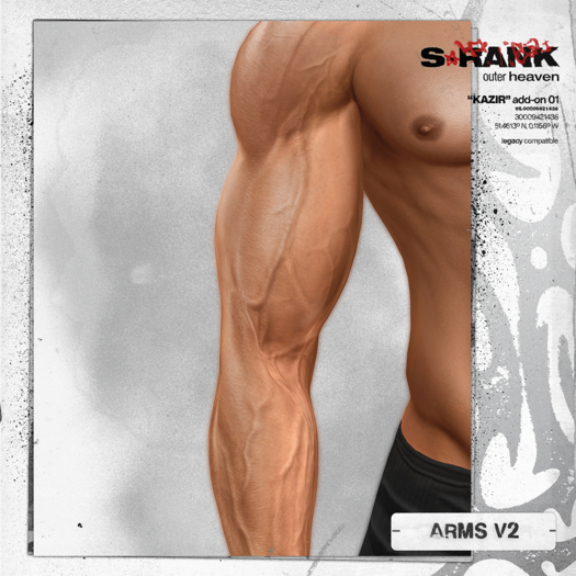 S-RANK "KAZIR" ADD-ON 01 / ARMS V2