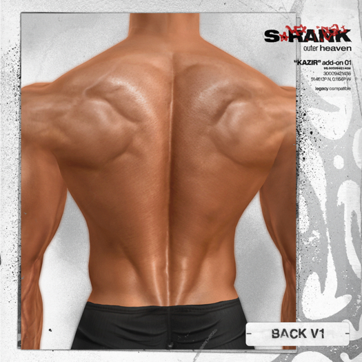 S-RANK "KAZIR" ADD-ON 01 / BACK V1 