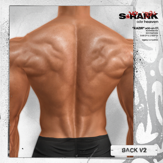 S-RANK "KAZIR" ADD-ON 01 / BACK V2 