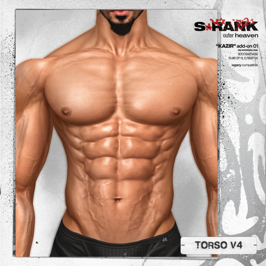 S-RANK "KAZIR" ADD-ON 01 / TORSO V4