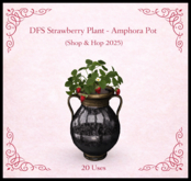 DFS Strawberry Plant - Ampbora Pot - ACTUAL ITEM