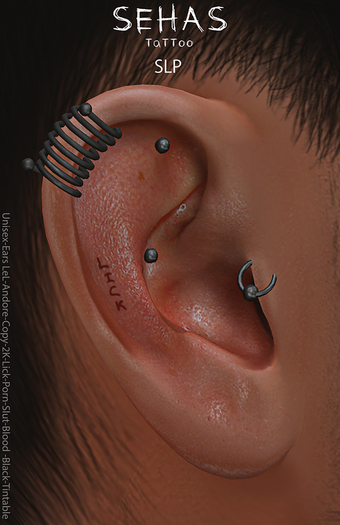 ::SEHAS::TaTToo SLP