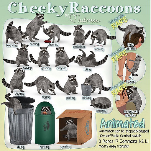 Mutresse-Cheeky Raccoons-Diving