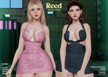 REED - MELINA FATPACK