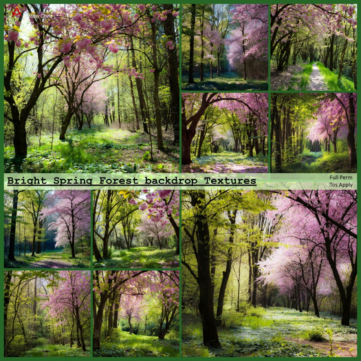 Spring Forest backdrop Textures