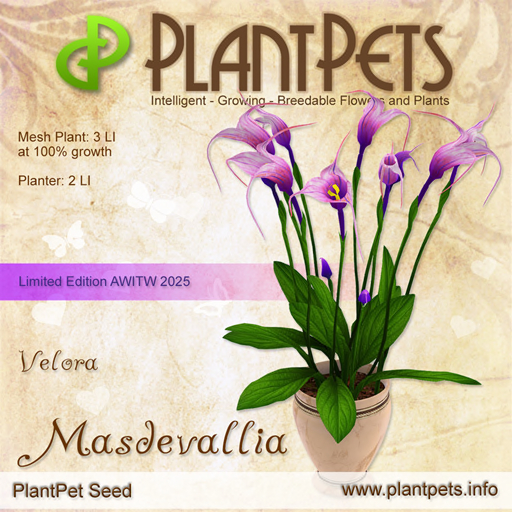 PlantPet Masdevallia *Velora*