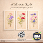 Wildflowers study (add/wear)