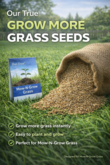 Our True: Mowable Grass Bundle