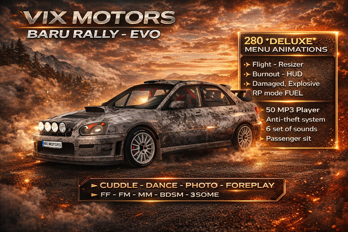 Vix Motors - Baru Rally - EVO