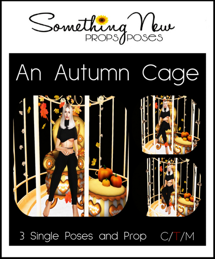 **SN~ An Autumn Cage