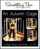 **SN~ An Autumn Cage