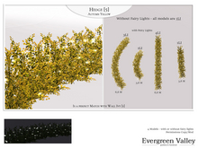 Hedge [5] Autumn Yellow