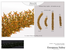 Hedge [5] Autumn Orang