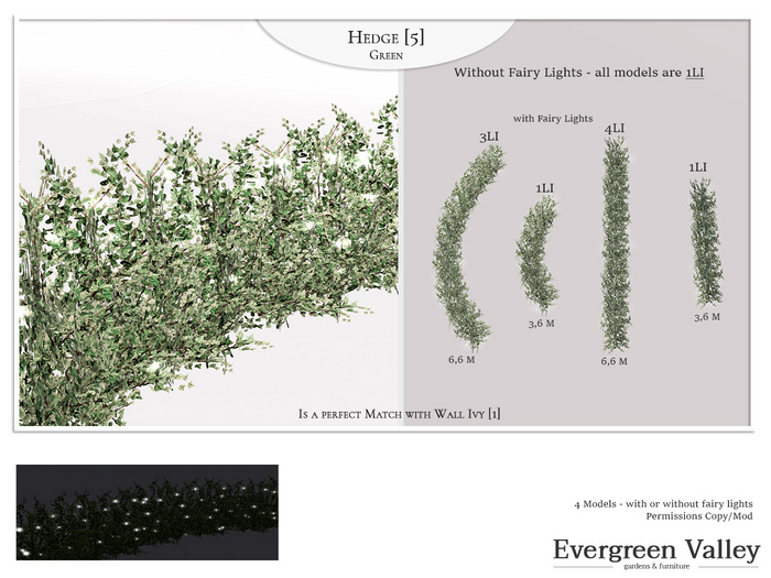 Hedge [5] Green