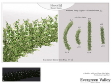 Hedge [5] Bright Green