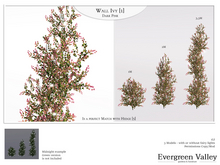 Wall Ivy [1] Dark Pink
