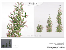 Wall Ivy [1] Soft  Pink