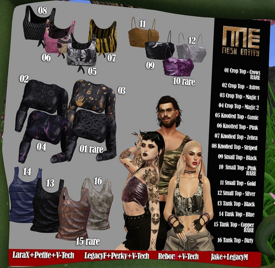 05 Mesh Entity: Dancer Top - LaraX