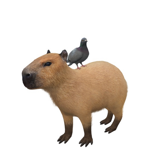 5. Mutresse-Chill Capybaras