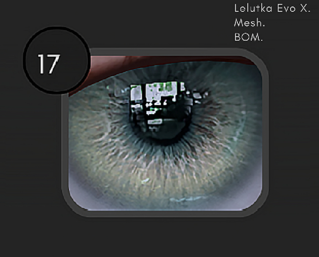 17 - Borealis Eyes - A R T E
