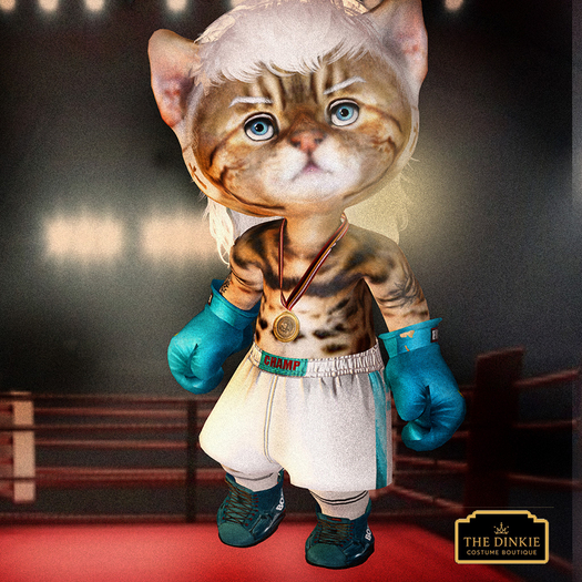 *TCB* DINKIE ROCKY BOXING CHAMP COSTUME*