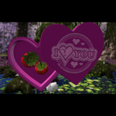 DFS Vday Box of Strawberries 