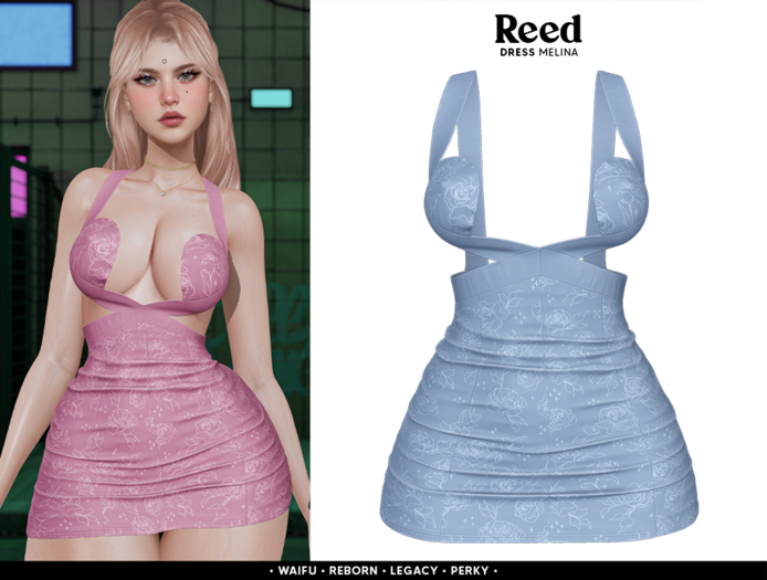 REED - MELINA BLUE ROSES
