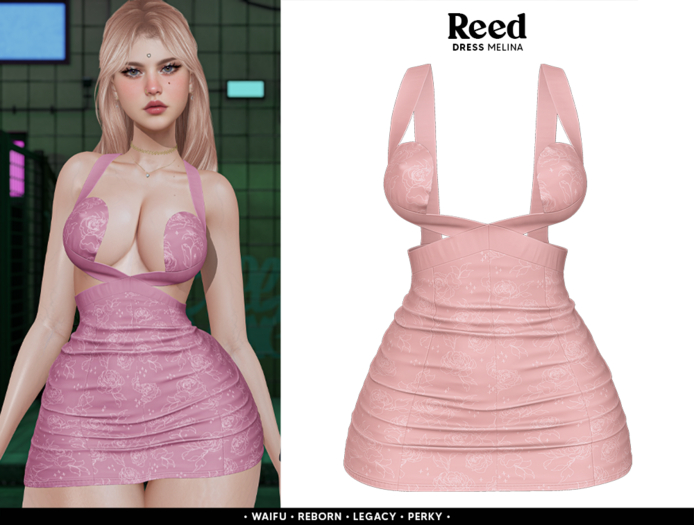 REED - MELINA PEACH ROSES