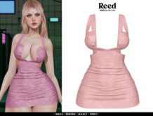 REED - MELINA PEACH ROSES