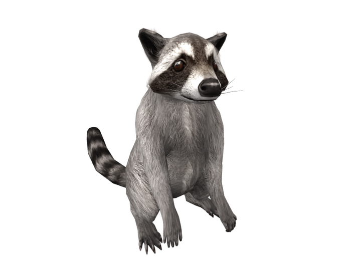 07 Mutresse-Cheeky Raccoons-Gasping