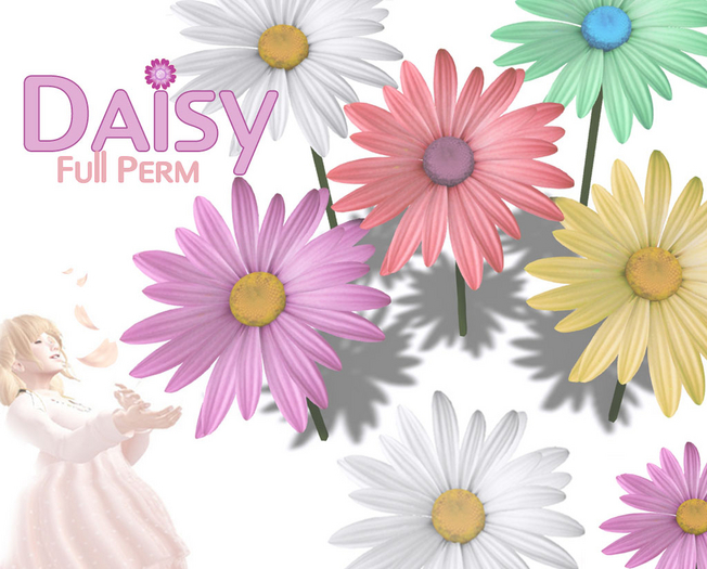 Daisy
