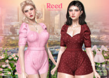 REED - TRISHA FATPACK