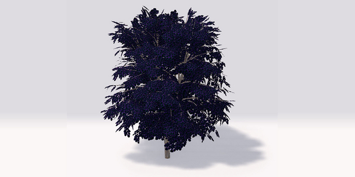 Anti Valentine Maple Tree - Bruised Edition