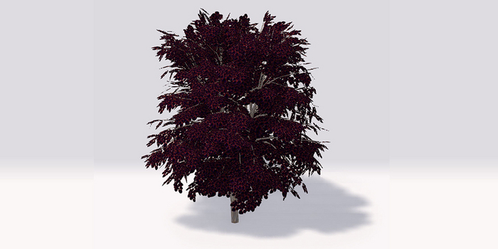 Anti Valentine Maple Tree - Hurt Edition